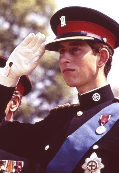 Принц Чарльз / © Associated Press