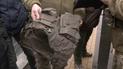 Як обрати бронежилет: у чому відмінності сталевих та керамічних бронеплит і скільки доведеться заплатити