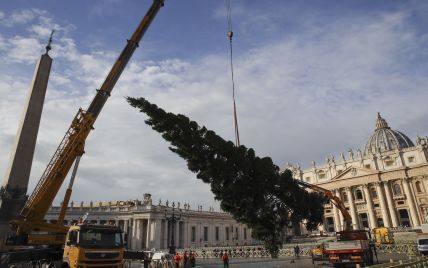 На площади Ватикана установили 26-метровую рождественскую елку