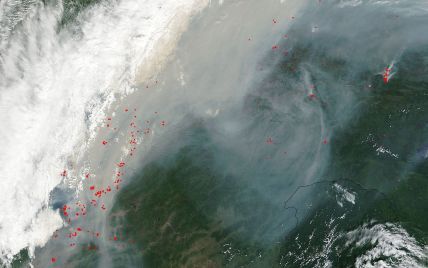Лесные пожары охватили четверть Бурятии