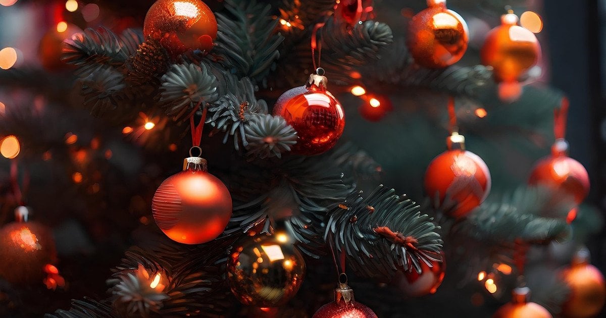 Гарна ялинка коштуватиме недешево