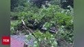 Ураганы, грозы, сорванные крыши и массовые пожары! Ночь, которую не все украинцы пережили!