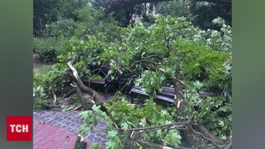 Ураганы, грозы, сорванные крыши и массовые пожары! Ночь, которую не все украинцы пережили!