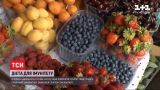 Сезон простуд: как повысить иммунитет, чтобы он мог отразить атаку вирусов
