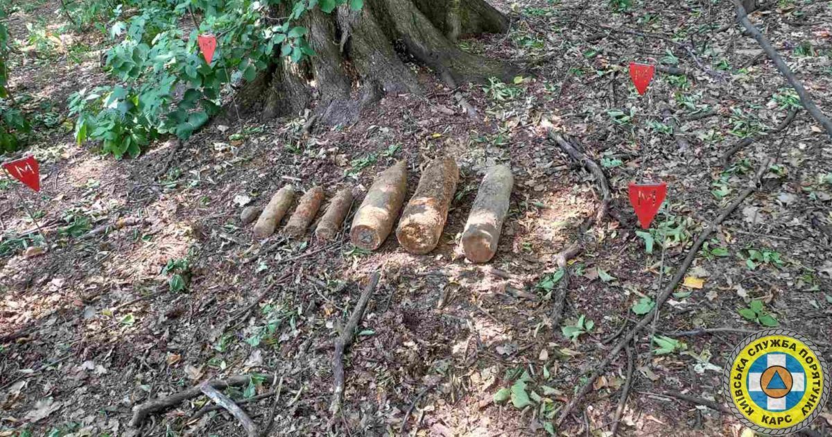 У Києві в ботсаду Гришка знайдено боєприпаси / © КАРС Київська служба порятунку