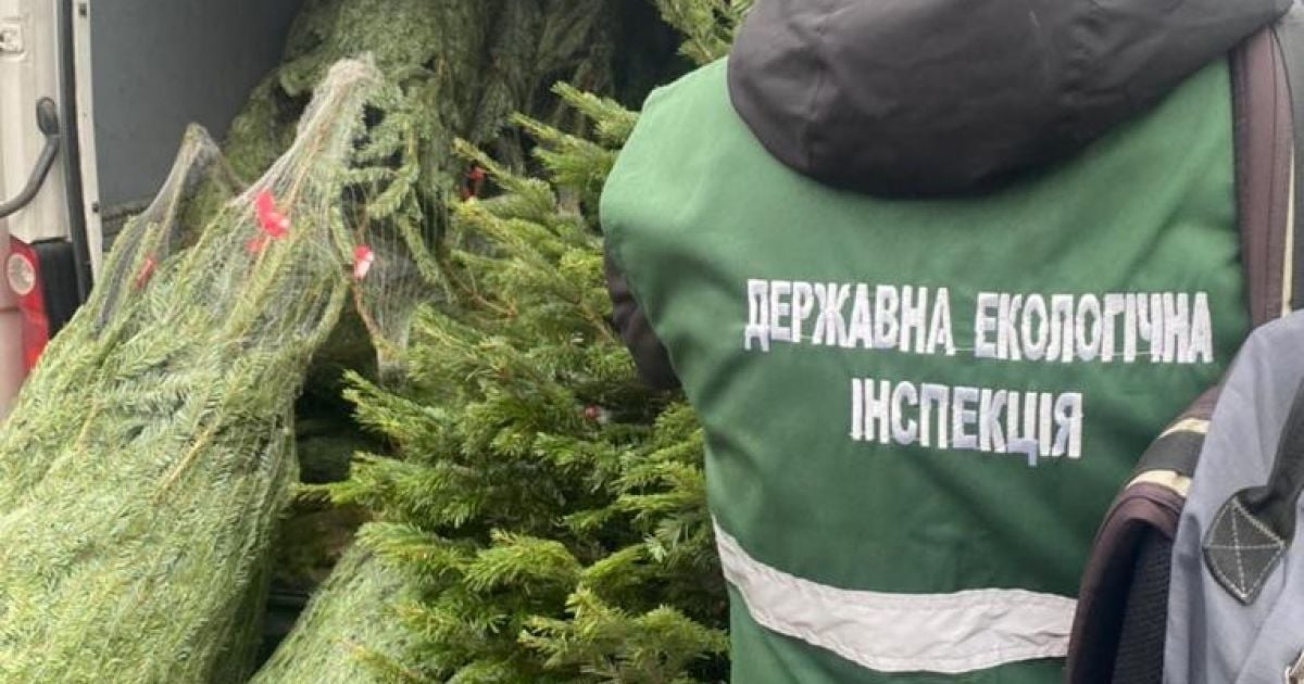 Незаконная продажа елок/Фото: Государственная экологическая инспекция Полесского округа