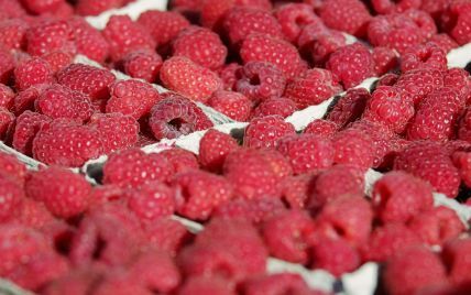 На украинских рынках появилась первая малина по рекордным ценам: сколько просят за ягоду