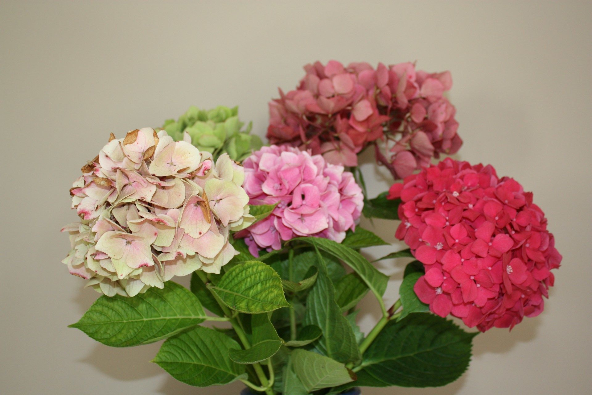 День ангела 15 листопада — душевні привітання в прозі / © Unsplash