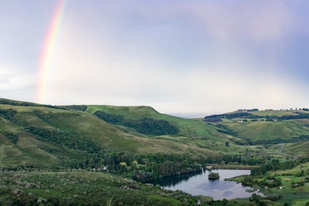 Народні прикмети 30 червня / © Pexels