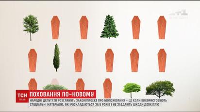 Парки вместо кладбищ: на сайте ВР появился законопроект о биозахоронениях