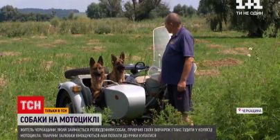 Новини України: житель Черкаської області привчив своїх вівчарок і такс їздити з ним на мотоциклі