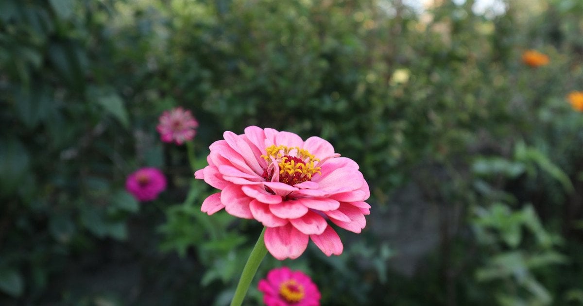 Який сьогодні, 4 вересня, день ангела