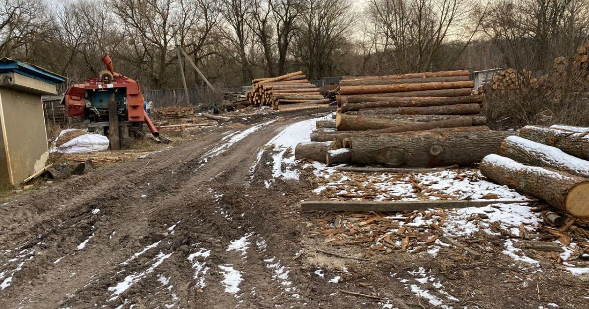 обшуки в лісовому господарстві на Житомирщині_8 / © Державне бюро розслідувань