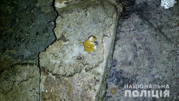  / © ГУ НП у Львівській області
