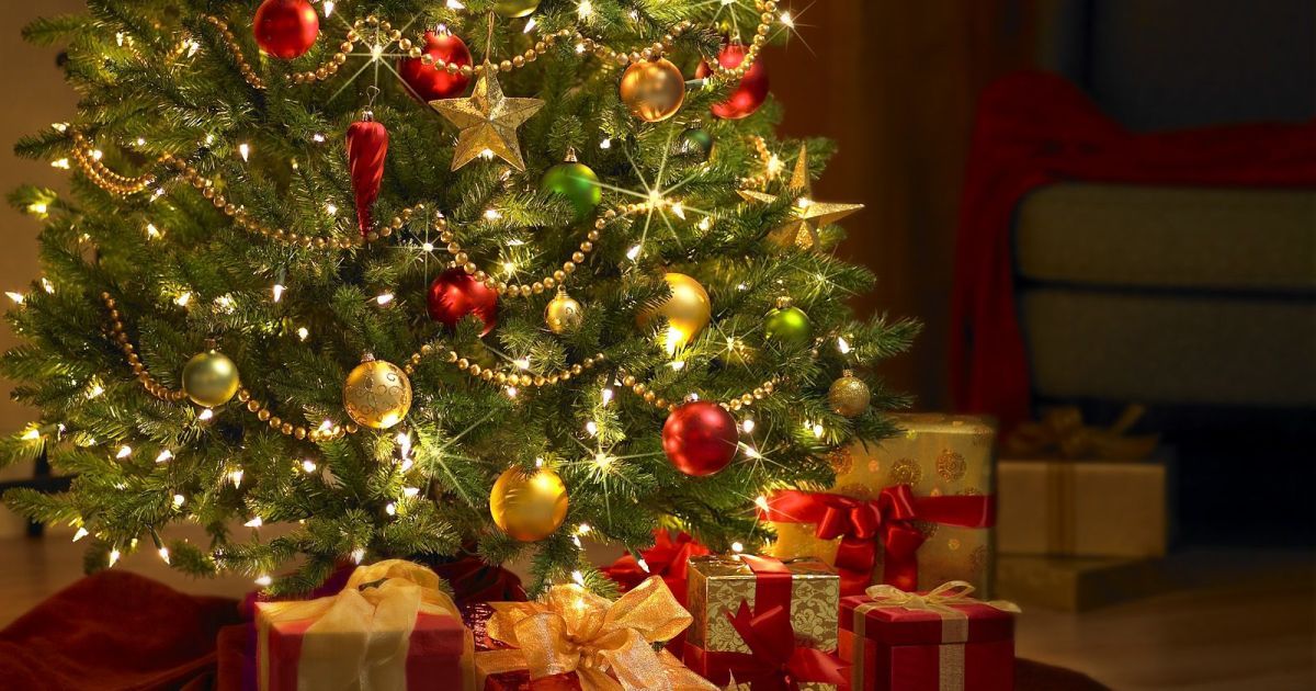 Новогодние праздники в Тернополе