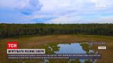 Новини України: озеро, описане в "Лісовій пісні", може зникнути