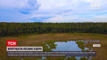Новини України: озеро, описане в "Лісовій пісні", може зникнути