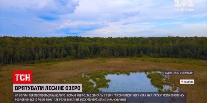 Новини України: озеро, описане в "Лісовій пісні", може зникнути