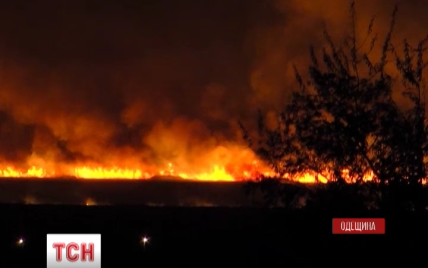 Мощный пожар на Одесчине: масштабный огонь на поймах бушевал всю ночь