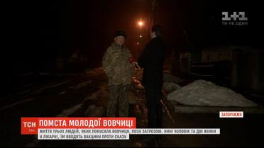 Напад вовчиці на Запоріжжі місцеві пояснили помстою за вбитого самця