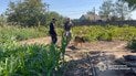 Убийство в Одесской области