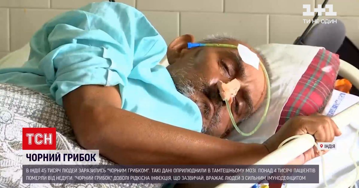 Новини світу: в Індії понад 4 тисячі людей померли від "чорного грибка"