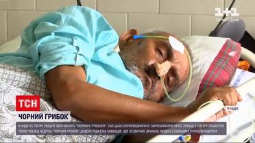 Новости мира: в Индии более 4 тысяч человек умерли от "черного грибка"