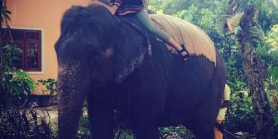 Каникулы Джамалы на Шри-Ланке: пляж, пальмы и катание на слонах