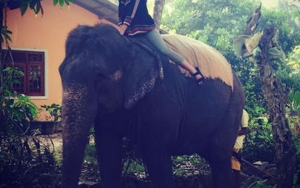 Каникулы Джамалы на Шри-Ланке: пляж, пальмы и катание на слонах