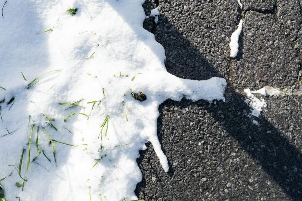 28 февраля уже нет снега — скоро потеплеет / © Pexels