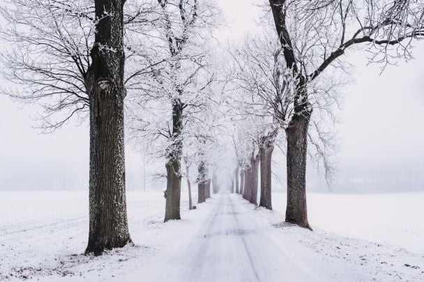 Народні прикмети 28 грудня / © Pexels