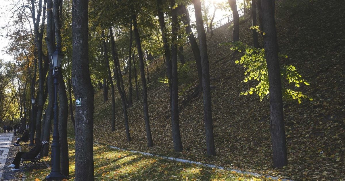 Народные приметы, обряды и обычаи 20 октября