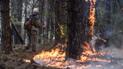 Синоптики предупредили о чрезвычайной пожарной опасности в Украине
