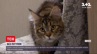Новини України: чому зима – найкращий час для лікування сезонної алергії