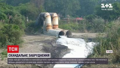 Новини світу: річка Ямуна у Нью-Делі вкрилася шаром піни