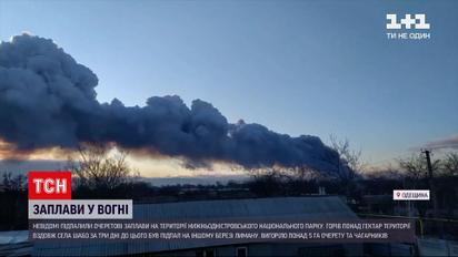 Новости Одесской области: неизвестные подожгли тростниковые поймы на территории национального парка