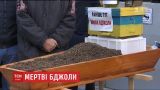 Украинские пасечники принесли под правительственные здания гроб с мертвыми пчелами