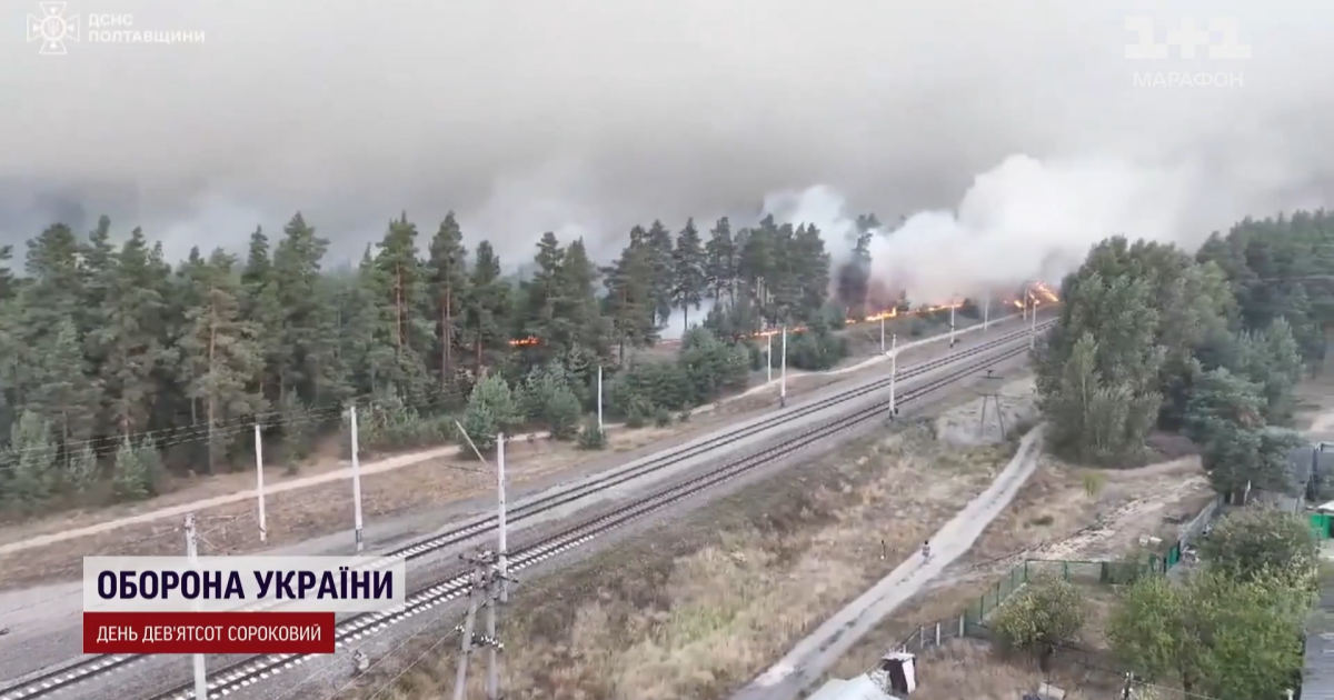 В Полтавской области горит лес