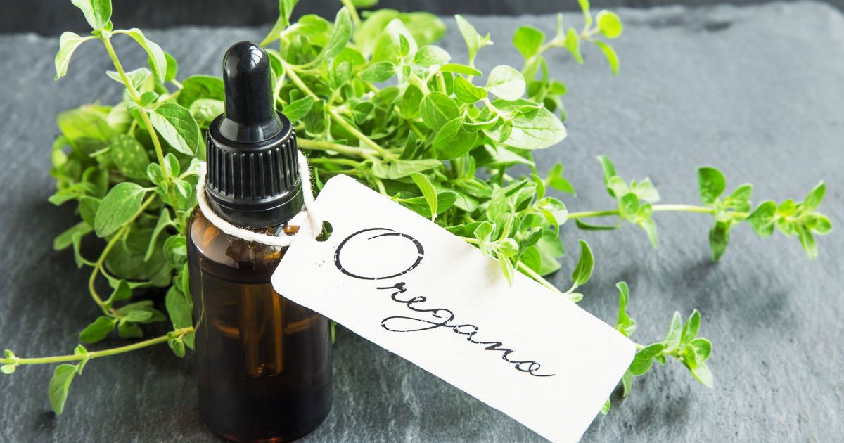 Масло орегано