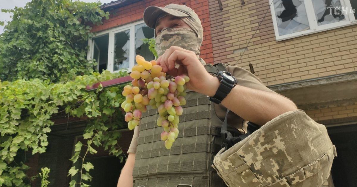 "Війна більше схожа на комп'ютерну гру": військові на Донбасі розповіли про місяць припинення вогню