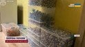 Скандал з фальсифікацією уколів для схуднення: суди та арешти відомих косметологів