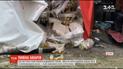 Пивная авария: в Днепре перевернулась фура, которая перевозила тысячи бутылок с пенным напитком