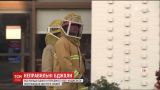 Шестеро посетителей магазина в пригороде Лос-Анджелеса пострадали от атаки пчел