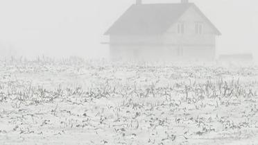 Как чиновники раздали бойцам АТО по 10 соток болота