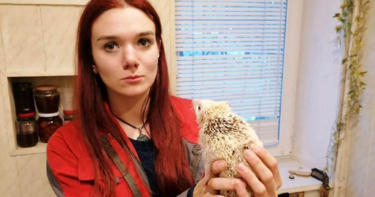 У Києві африканський їжак застряг у розпеченій батареї