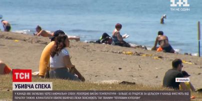 Новости мира: в канадской провинции от жары погибло почти полтысячи людей