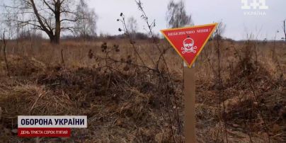 Заминированные поля, нехватка денег, удобрений и зерна: какой будет посевная 2023 год?