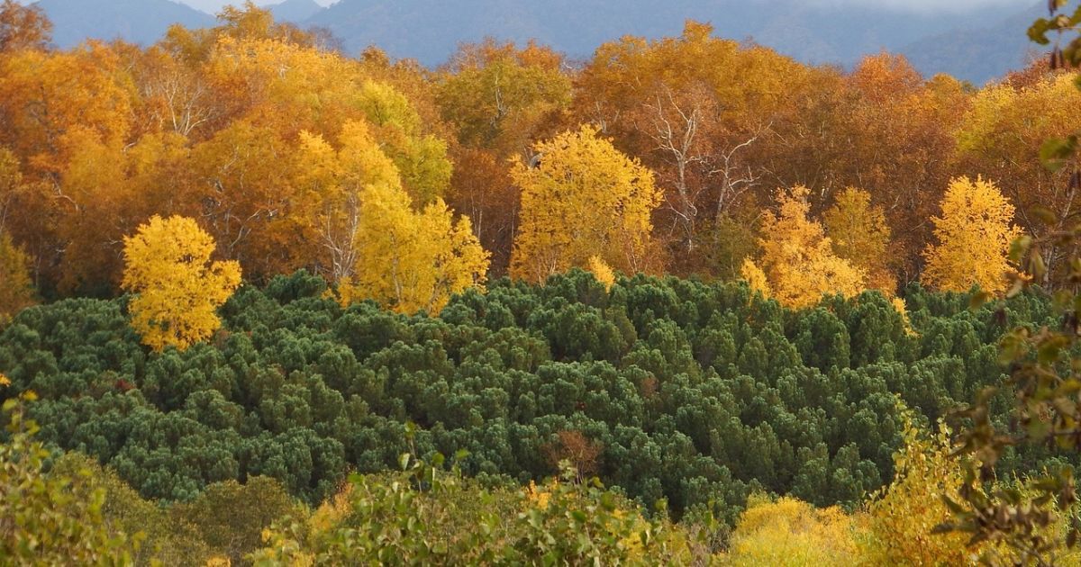 Тепло вже не буде