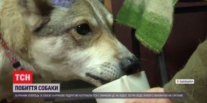Во Львовской области подростки избили пса металлической палкой, а затем выбросили его на свалку