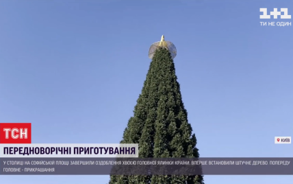 У Києві на Софійській площі завершили збирати головну ялинку країни